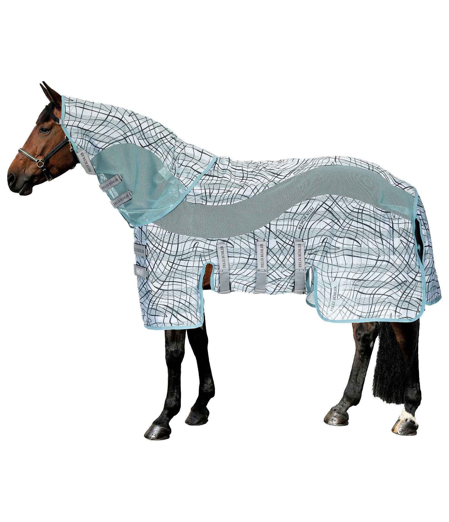 Functional Fly Rug Confusion Fly