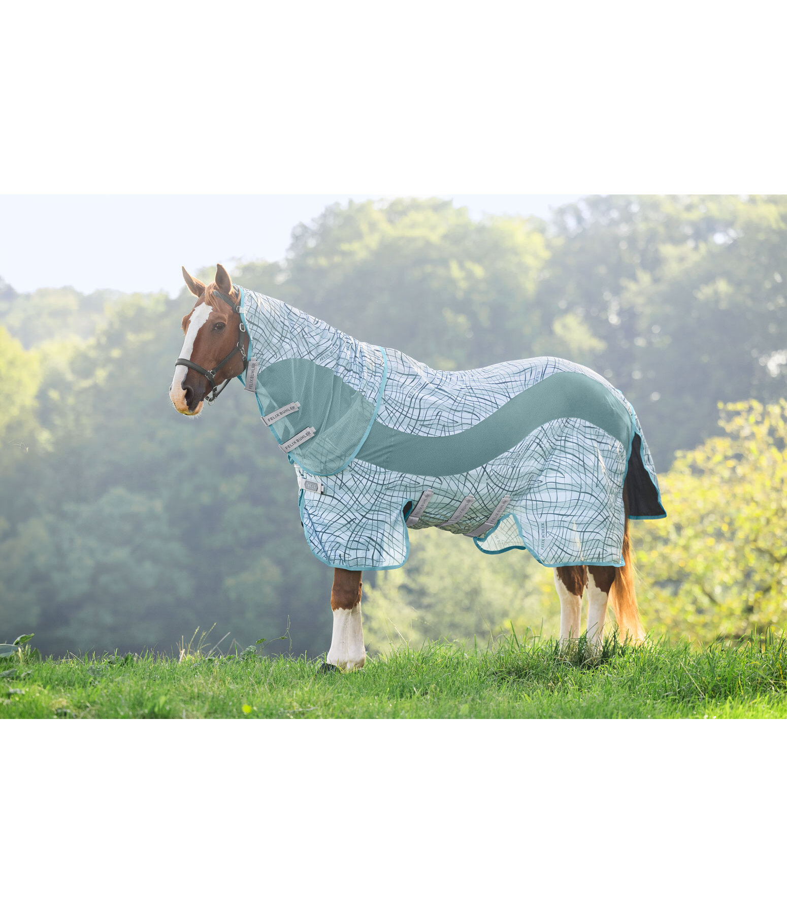 Functional Fly Rug Confusion Fly