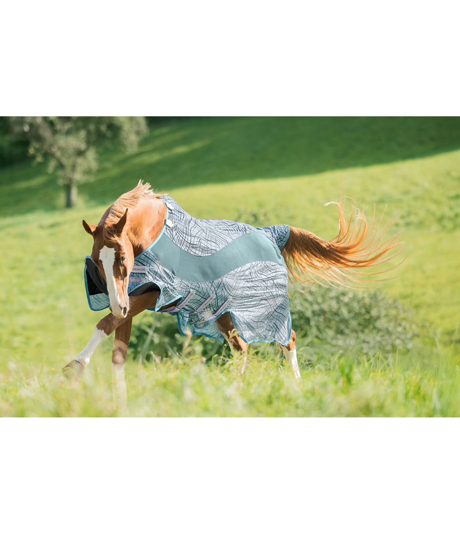 Functional Fly Rug Confusion Fly