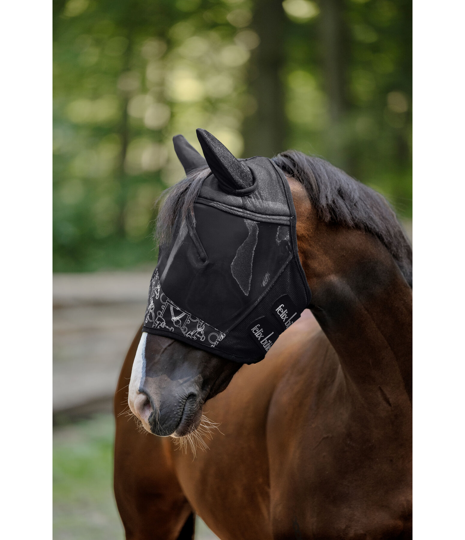 Collection Fly Mask Signature