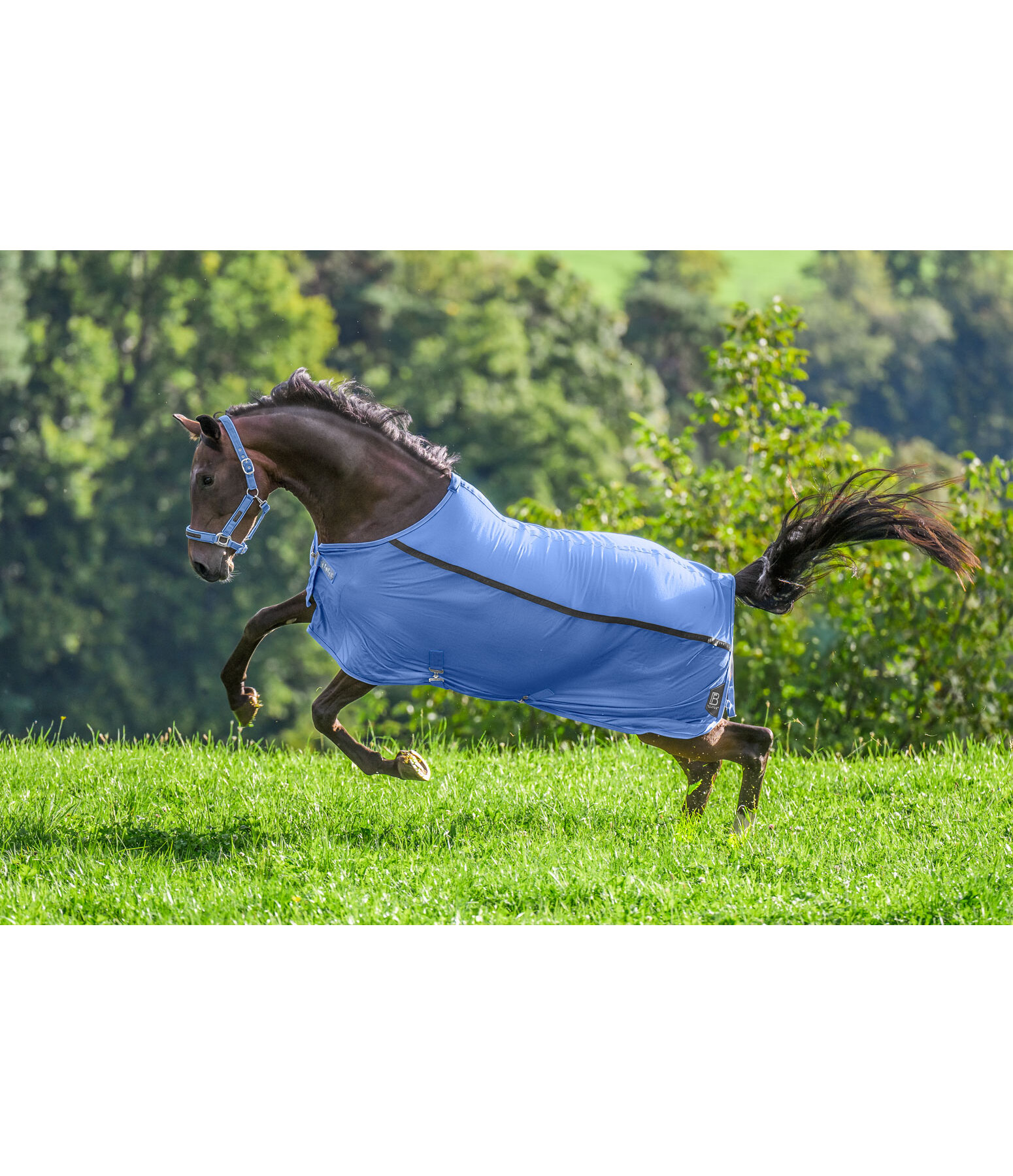 Combination Fly Rug Mesh Technology