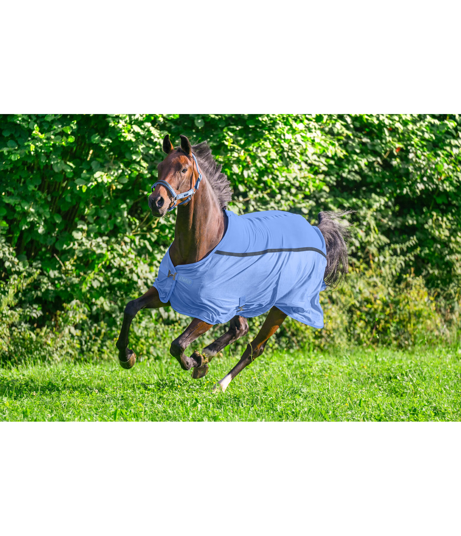 Combination Fly Rug Mesh Technology