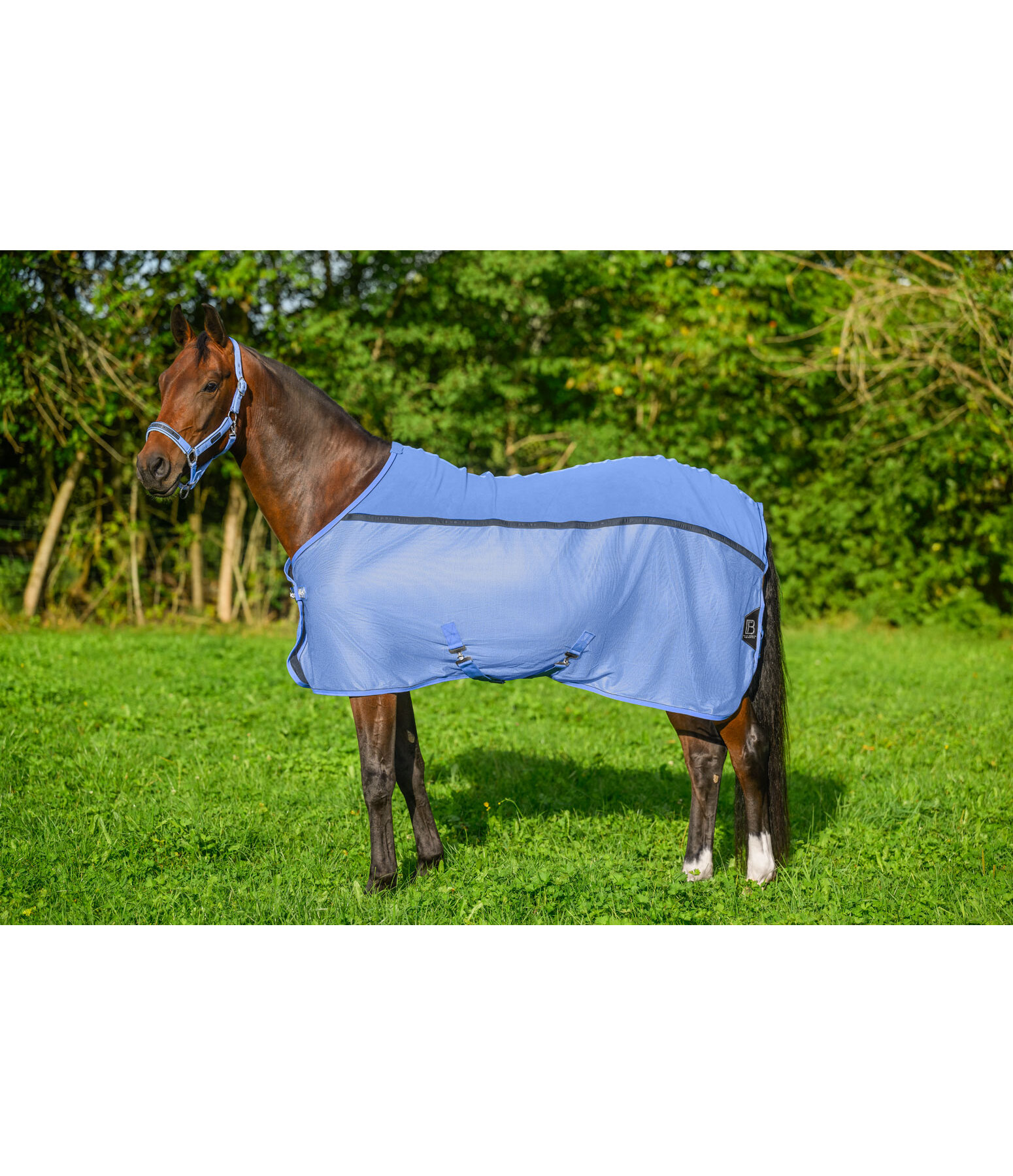 Combination Fly Rug Mesh Technology