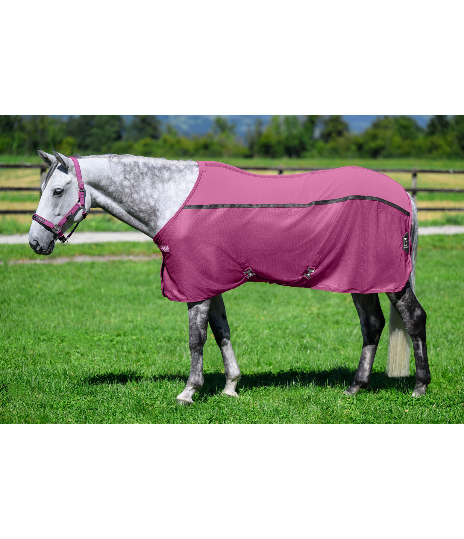 Combination Fly Rug Mesh Technology