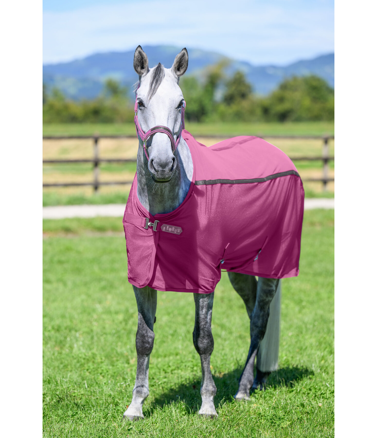 Combination Fly Rug Mesh Technology