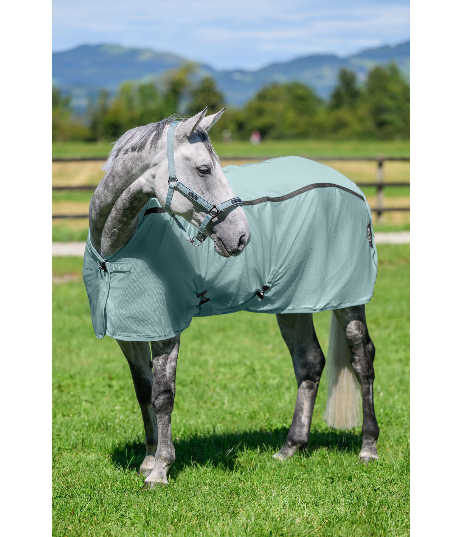 Combination Fly Rug Mesh Technology