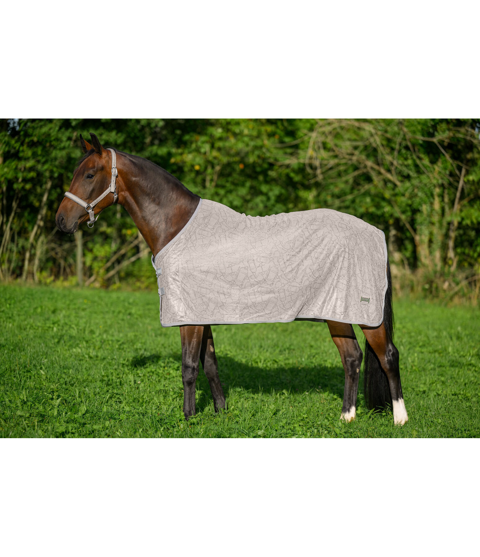 Fly Rug Collection Signature III