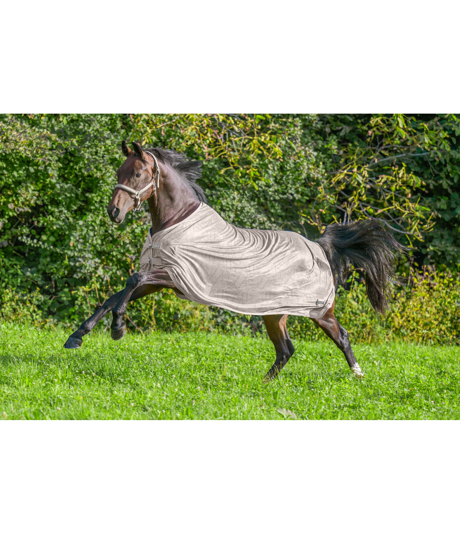 Fly Rug Collection Signature III