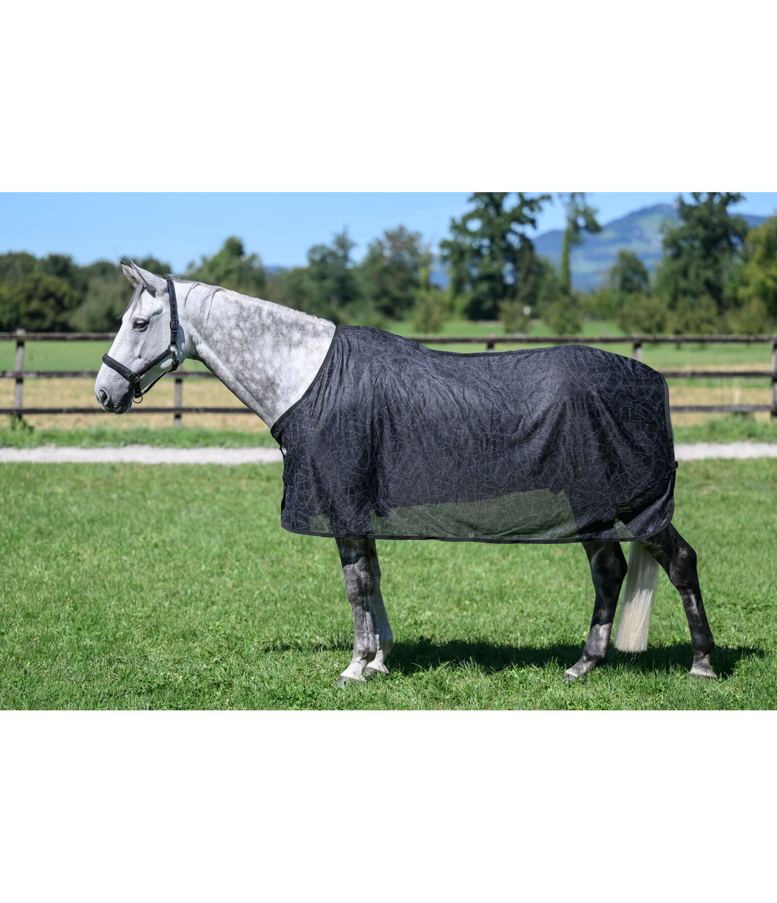 Fly Rug Collection Signature III