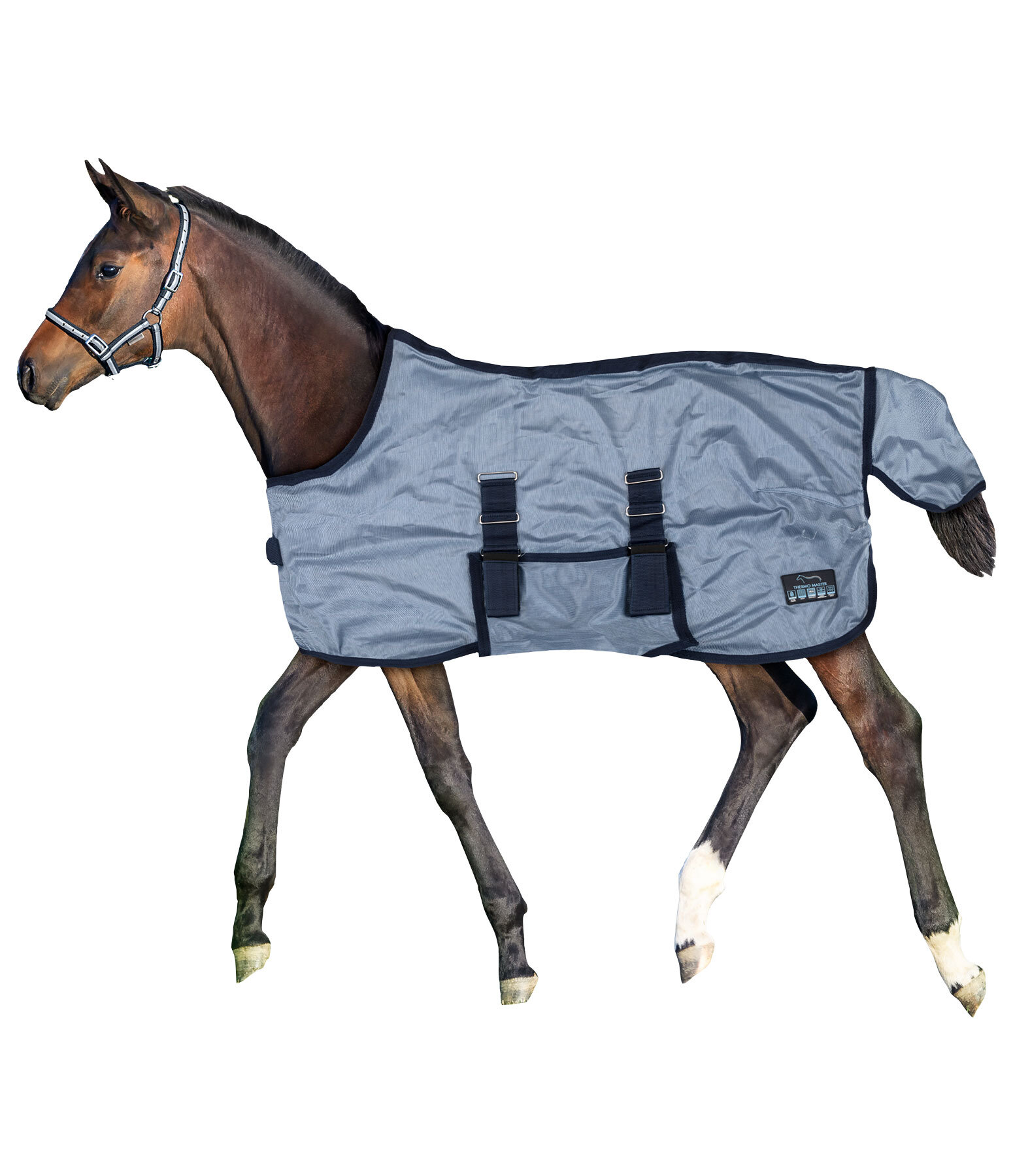 Foal and Mini Shetland Pony Fly Rug Kubi Fly