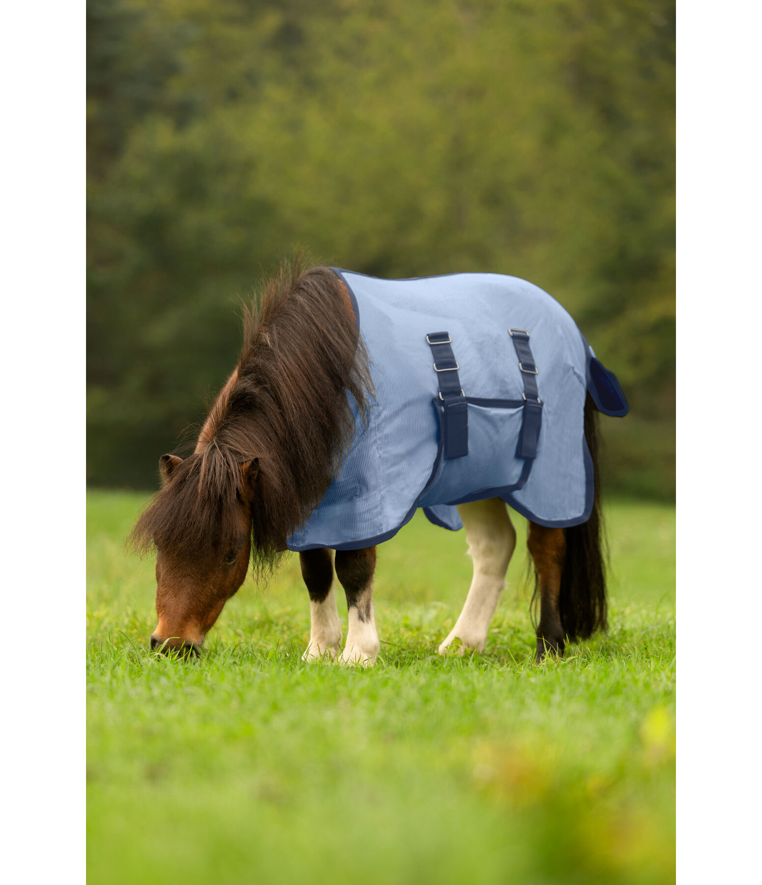Foal and Mini Shetland Pony Fly Rug Kubi Fly
