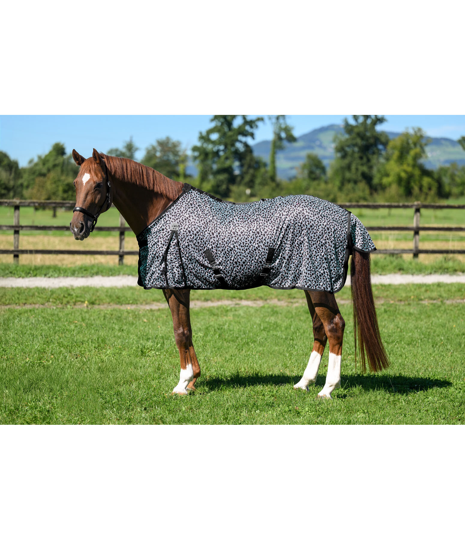 Fly Rug Leo