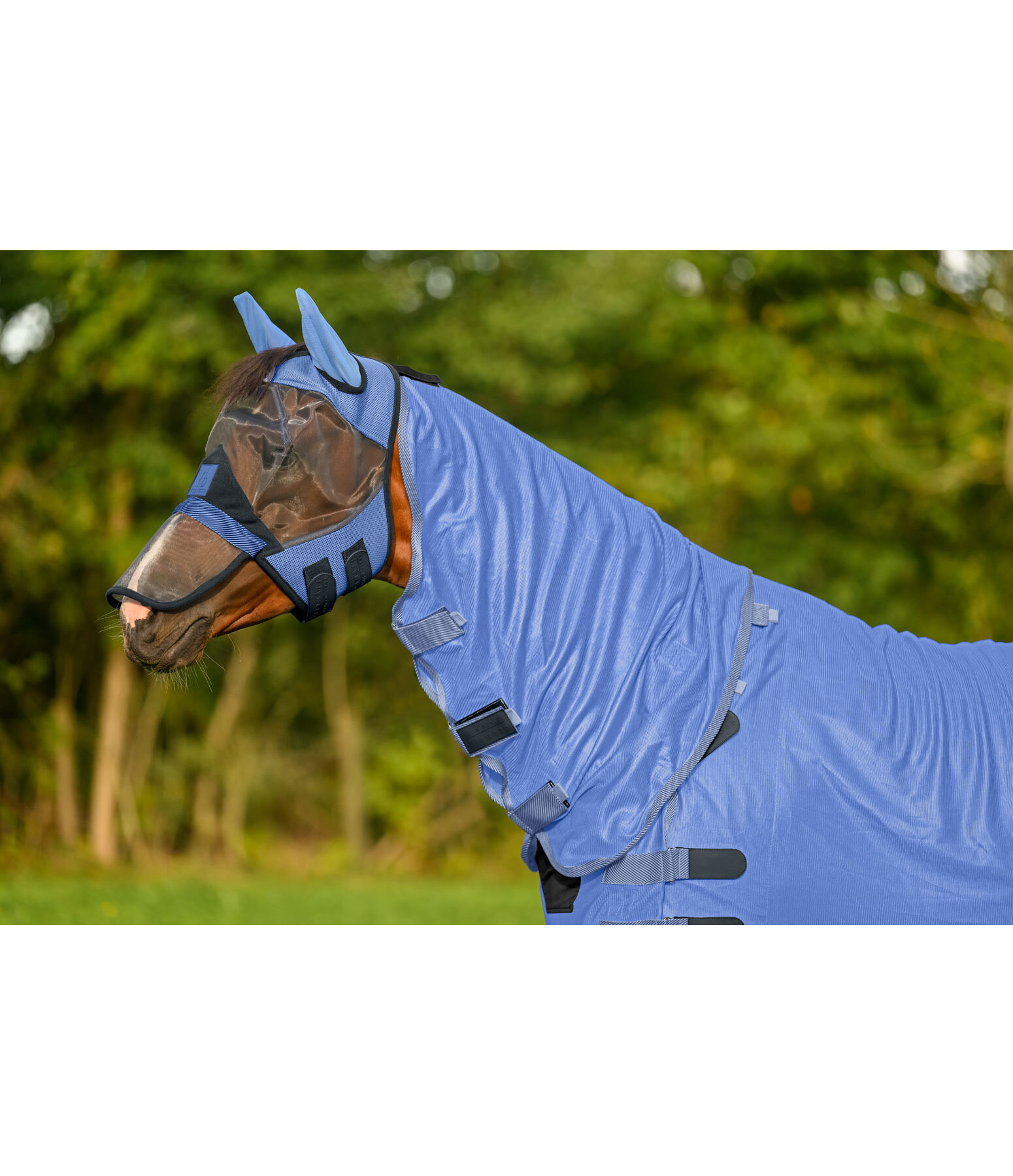 Fly Mask Ultimate Protection