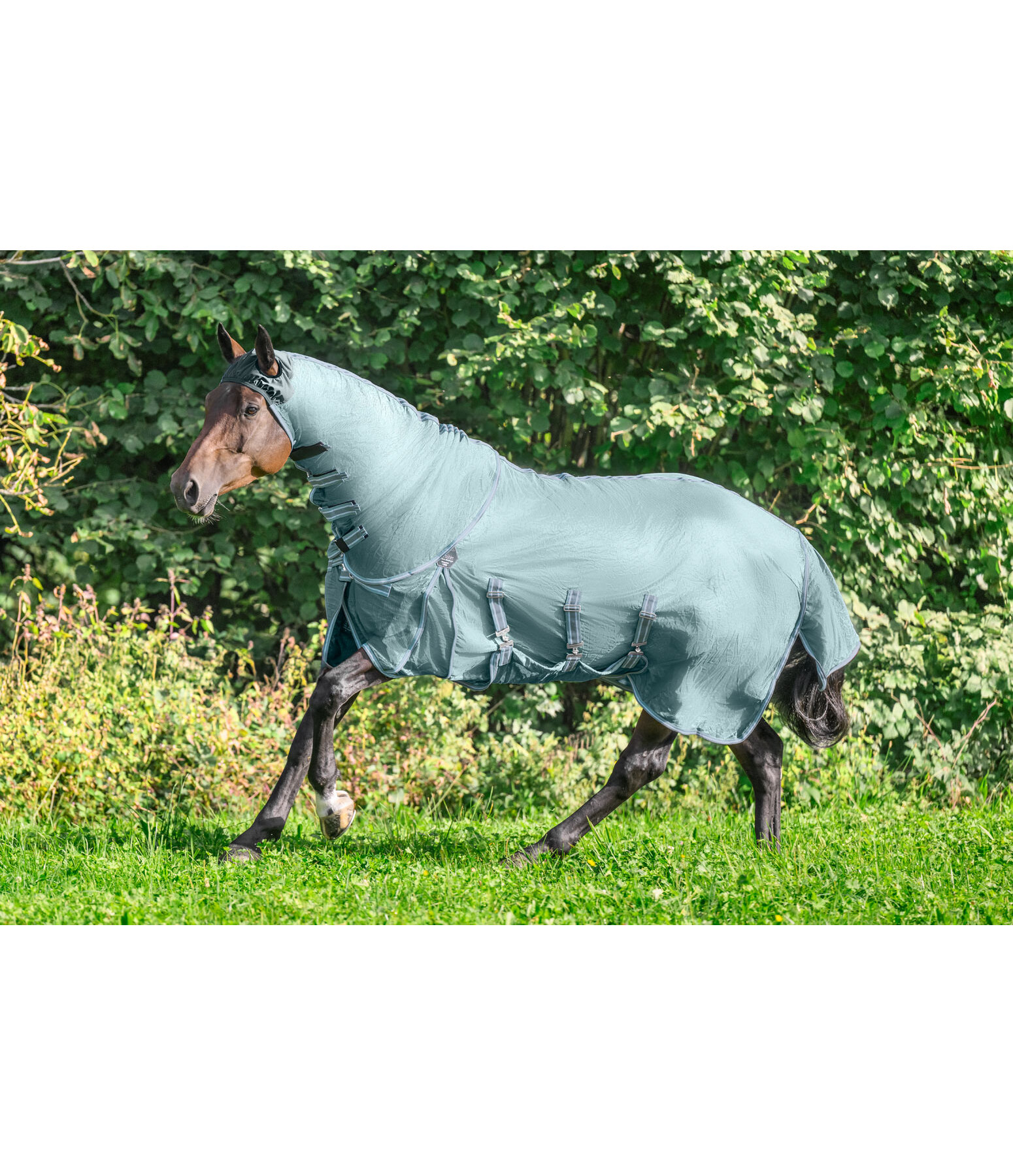 Fly Rug Fly Control with Extended Neck Piece and Ear Cut-Outs