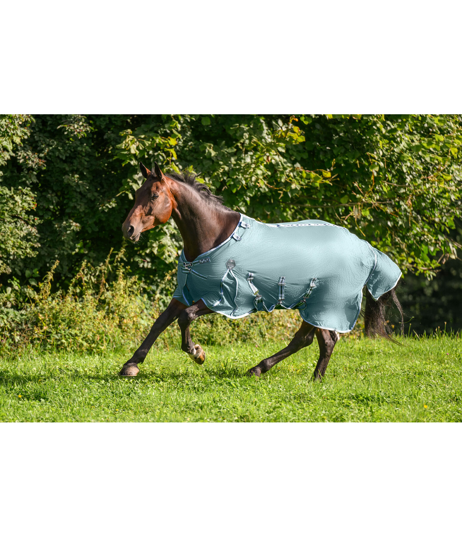 Fly Rug Fly Control with Extended Neck Piece and Ear Cut-Outs