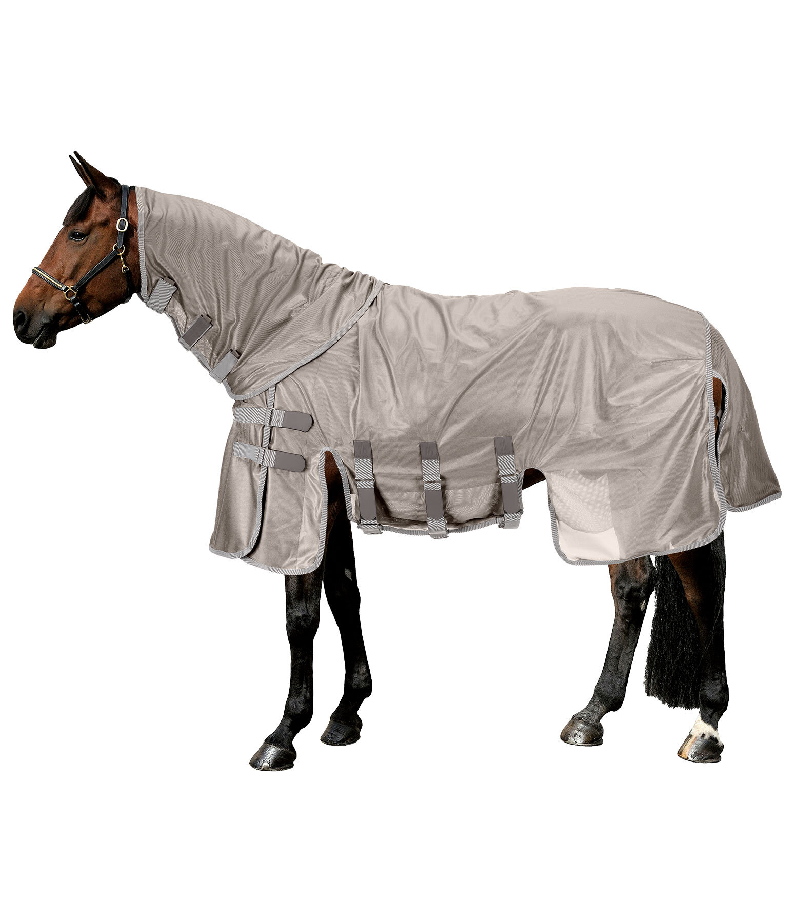 Fly Rug Ultimate Protection with Detachable Neck Piece