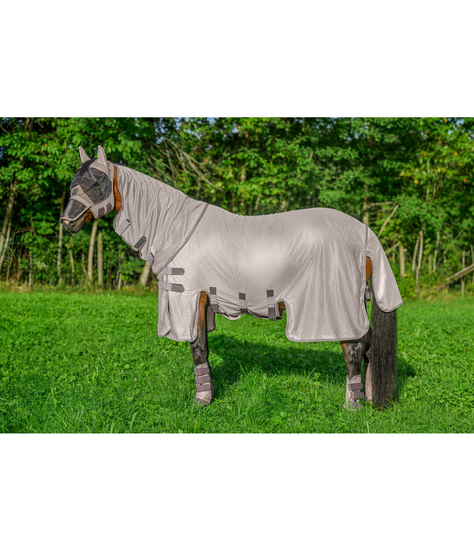 Fly Rug Ultimate Protection with Detachable Neck Piece
