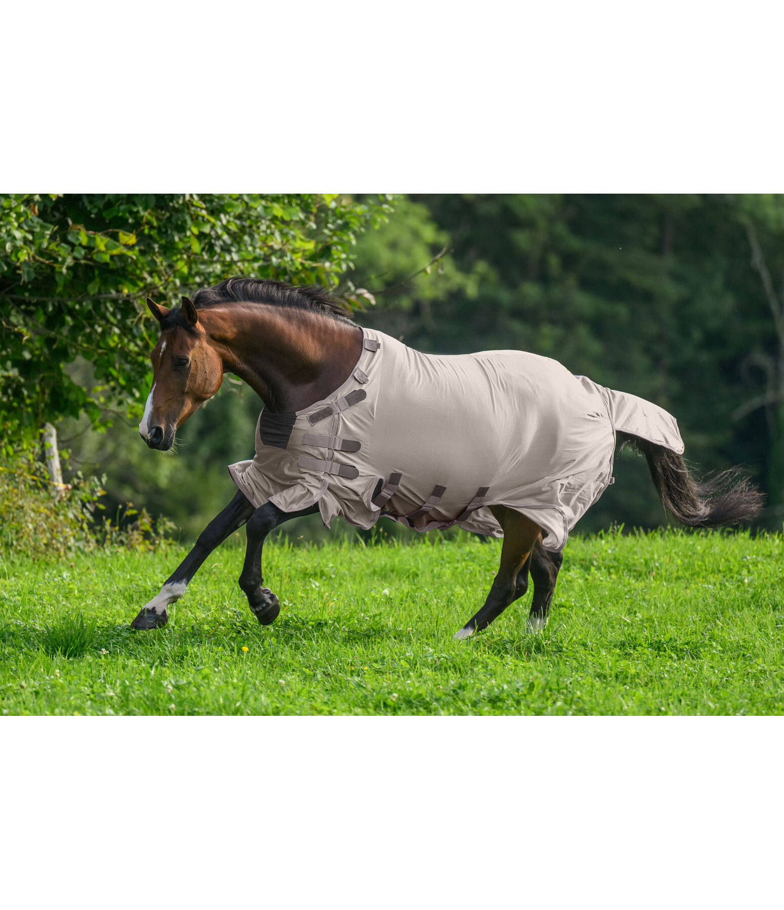 Fly Rug Ultimate Protection with Detachable Neck Piece