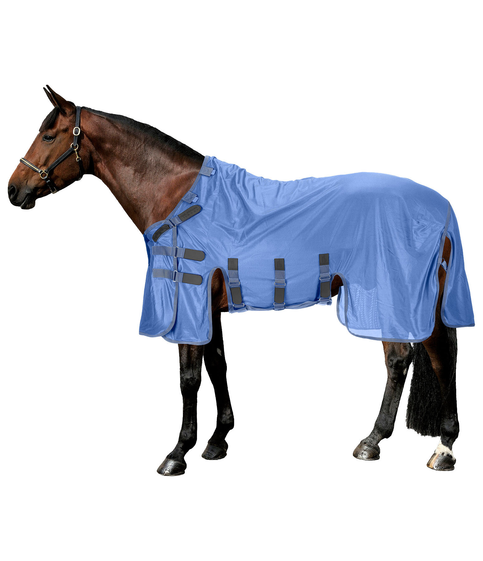 Fly Rug Ultimate Protection with Detachable Neck Piece