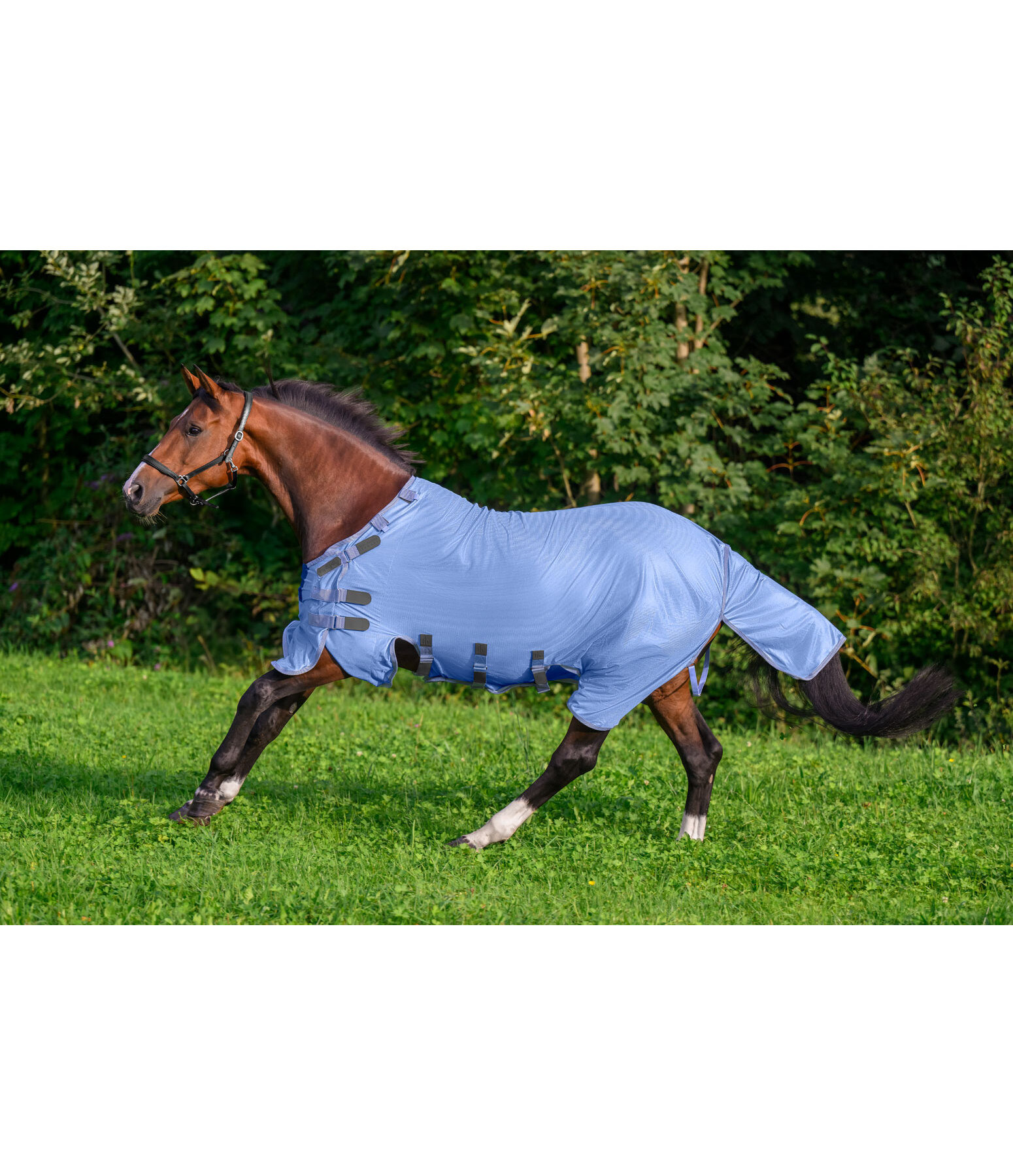 Fly Rug Ultimate Protection with Detachable Neck Piece