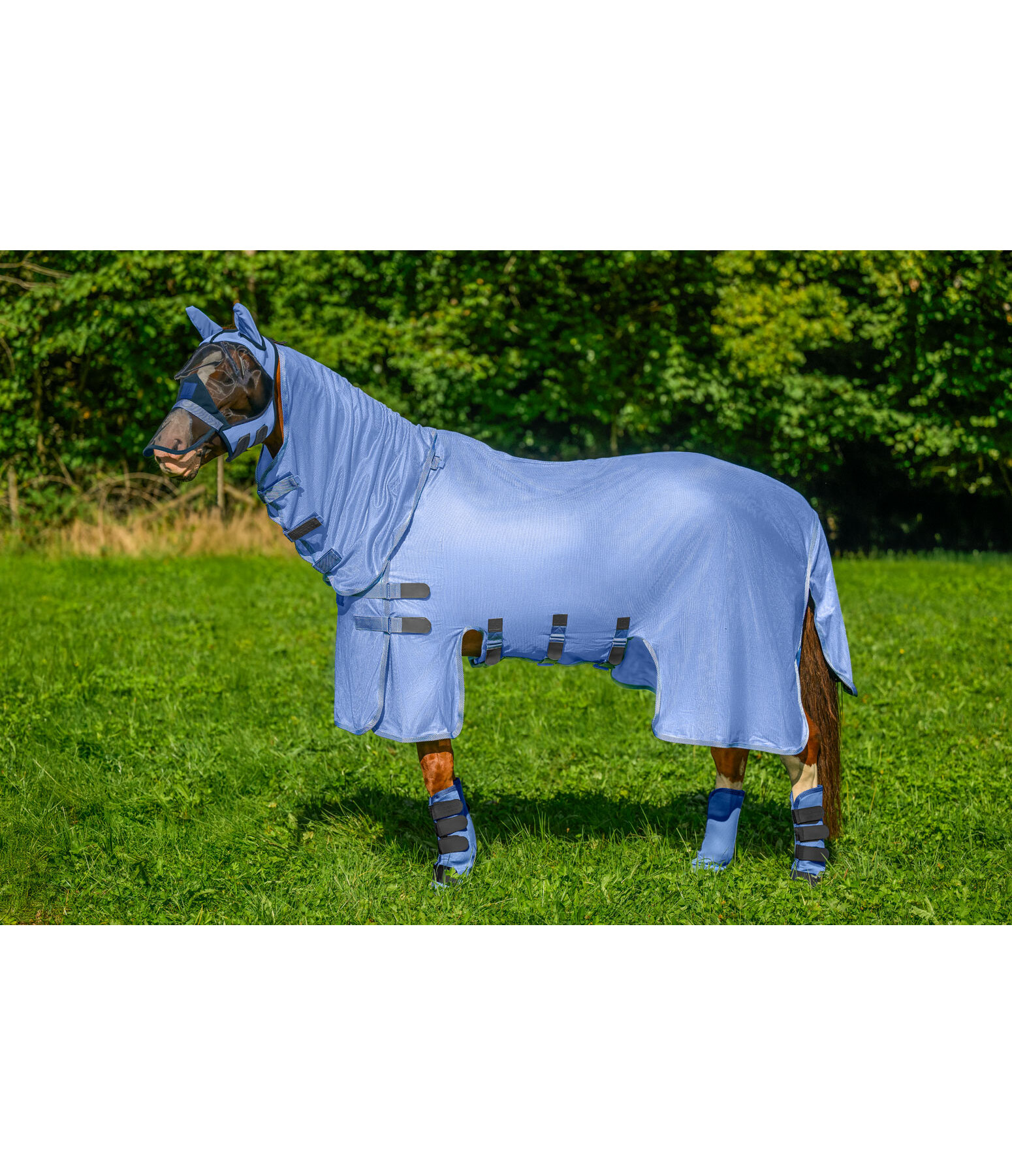 Fly Rug Ultimate Protection with Detachable Neck Piece