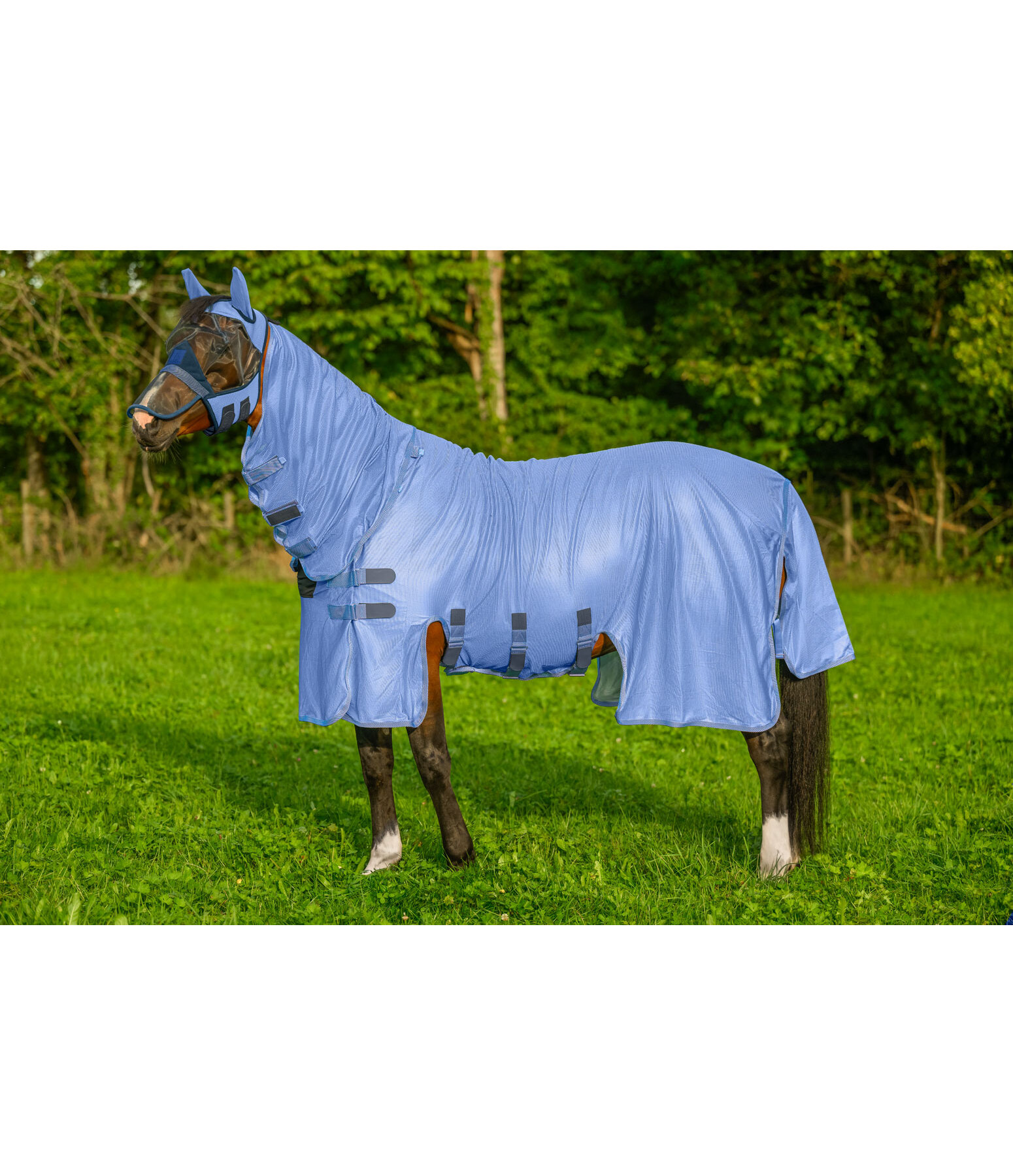 Fly Rug Ultimate Protection with Detachable Neck Piece