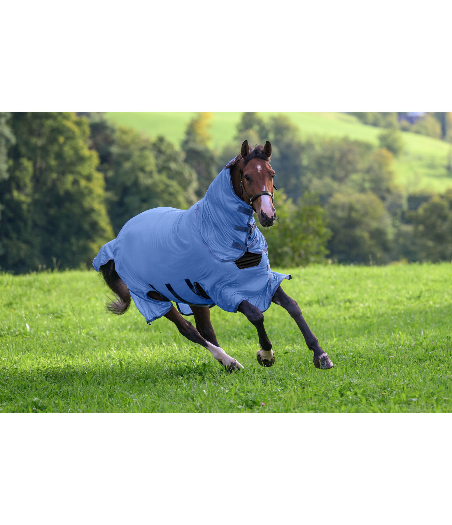 Fly Rug Ultimate Protection with Detachable Neck Piece