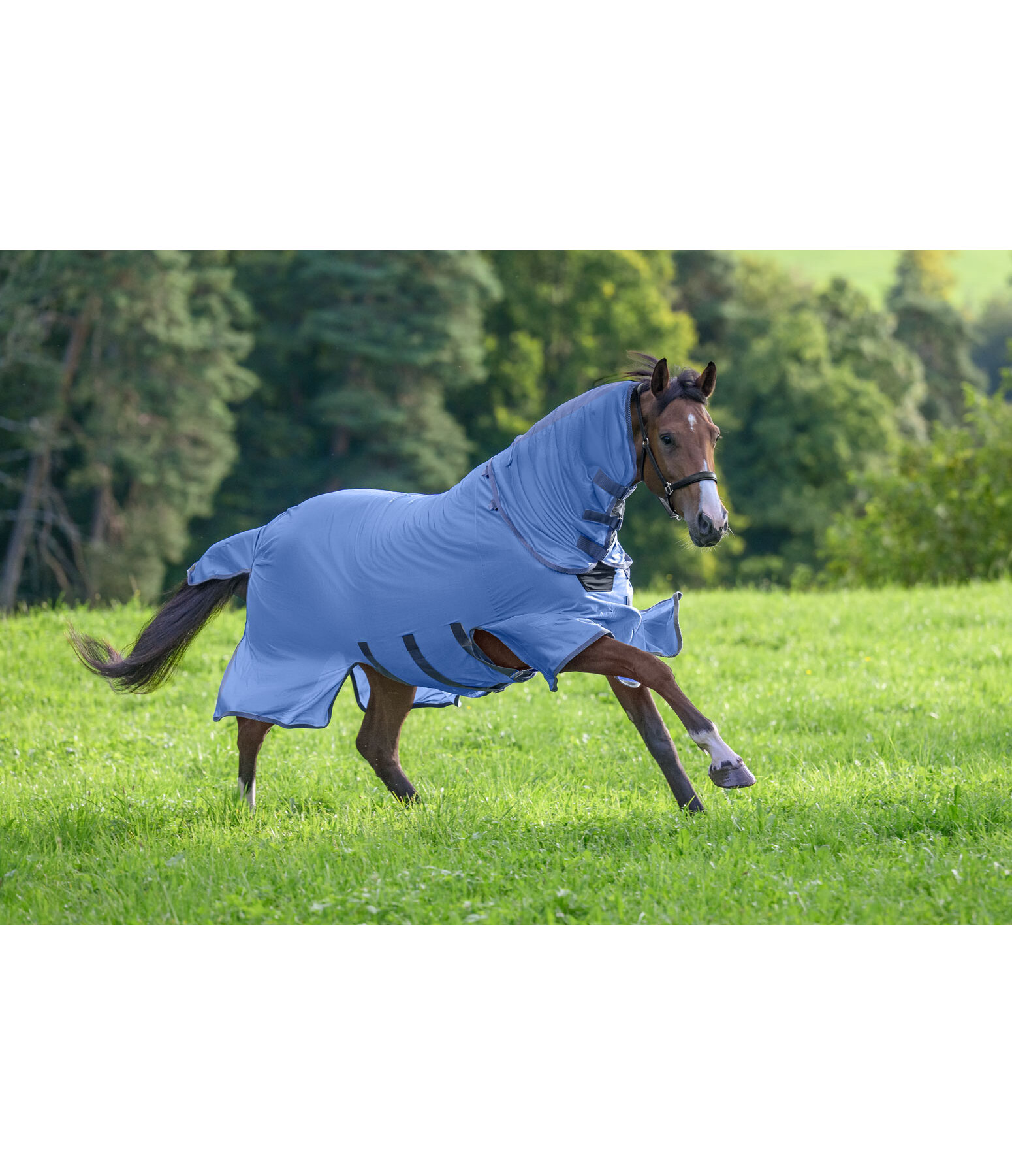 Fly Rug Ultimate Protection with Detachable Neck Piece