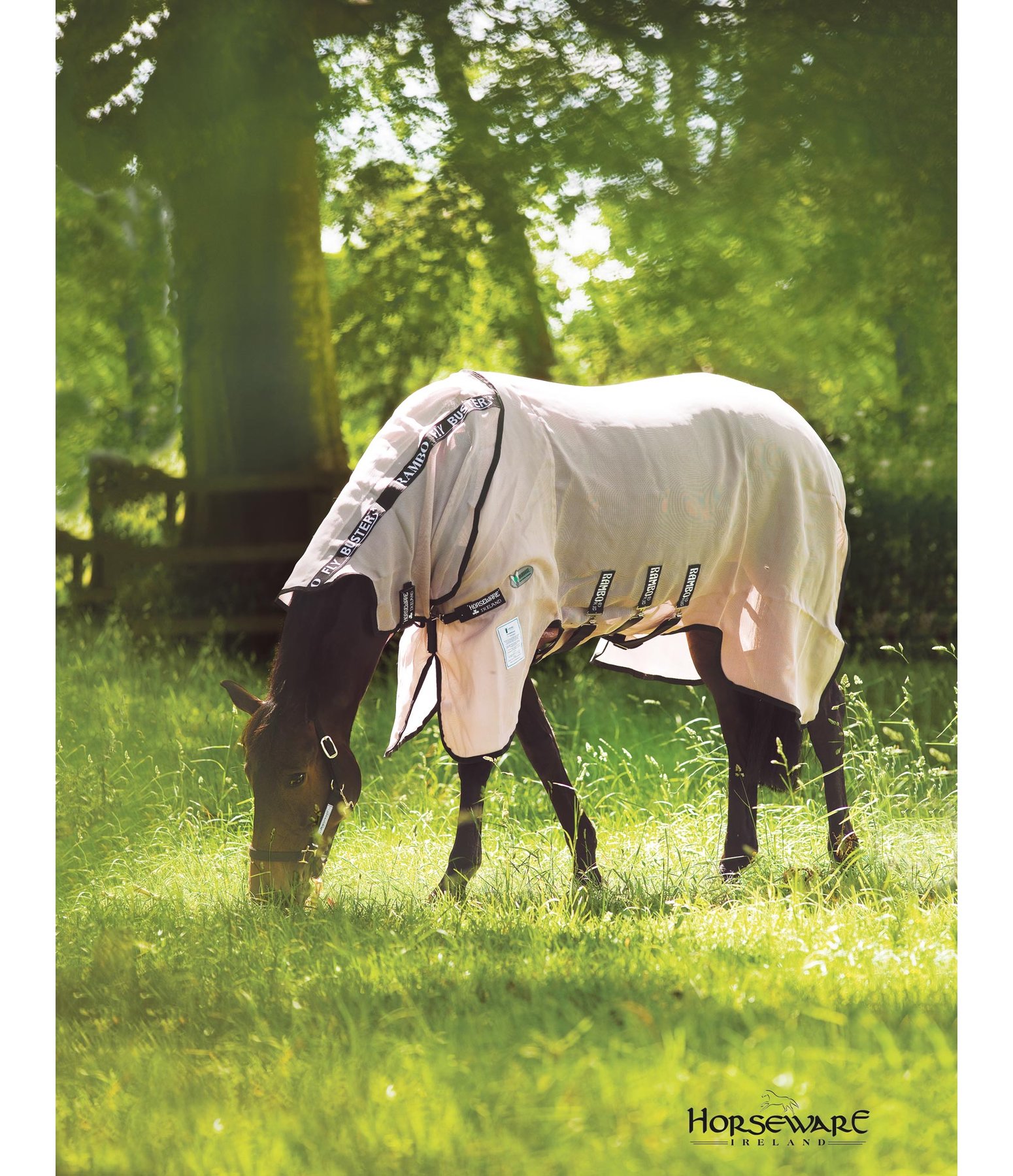 RAMBO Fly Buster Vamoose Fly Rugs & Accessories Kramer Equestrian