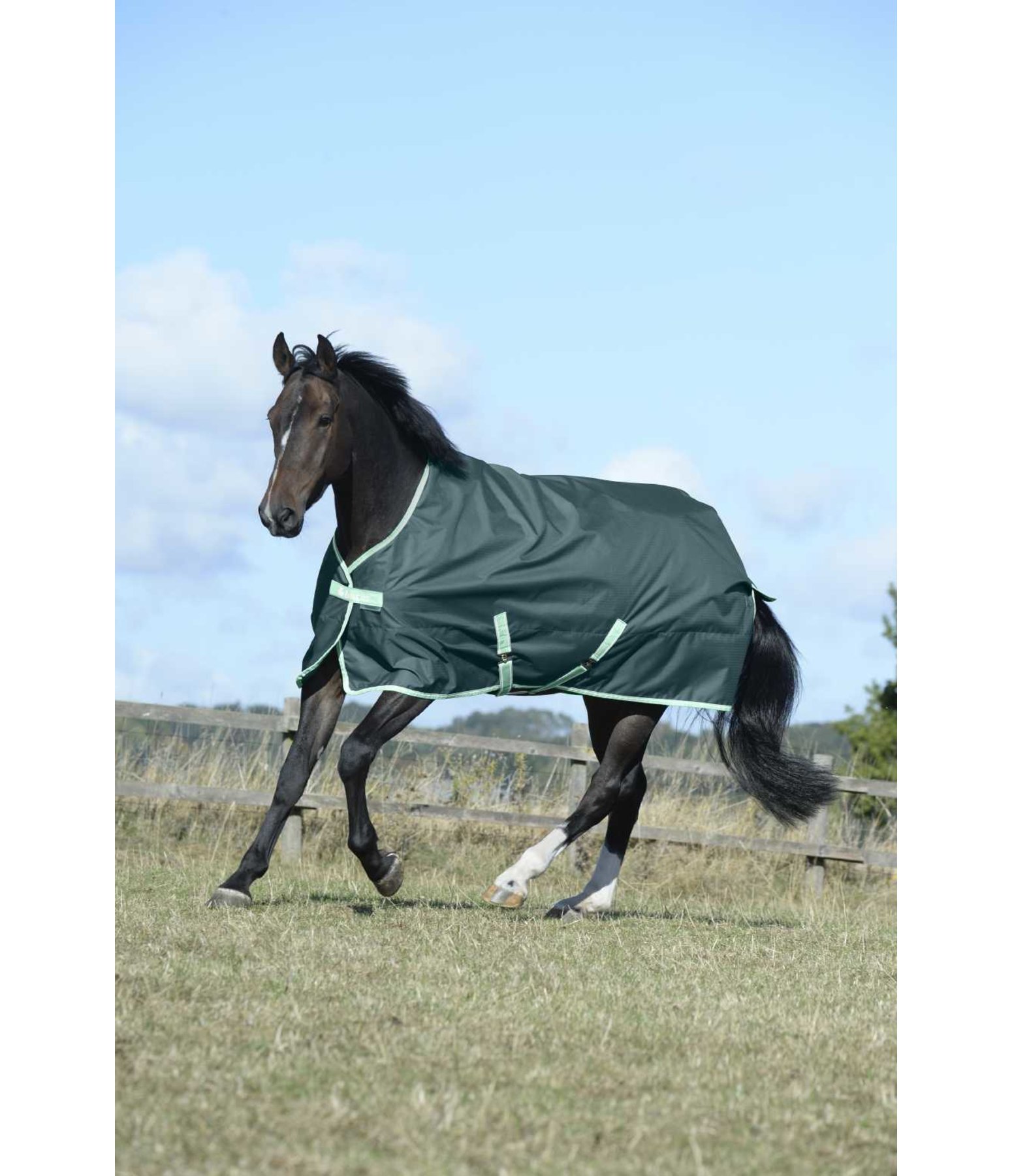 Freedom Turnout Light Lightweight Turnout Rugs 0 g Filling Kramer