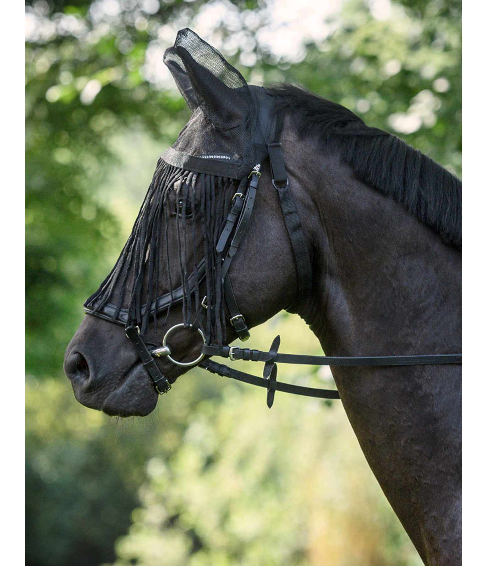 Fly Veil with Fringes