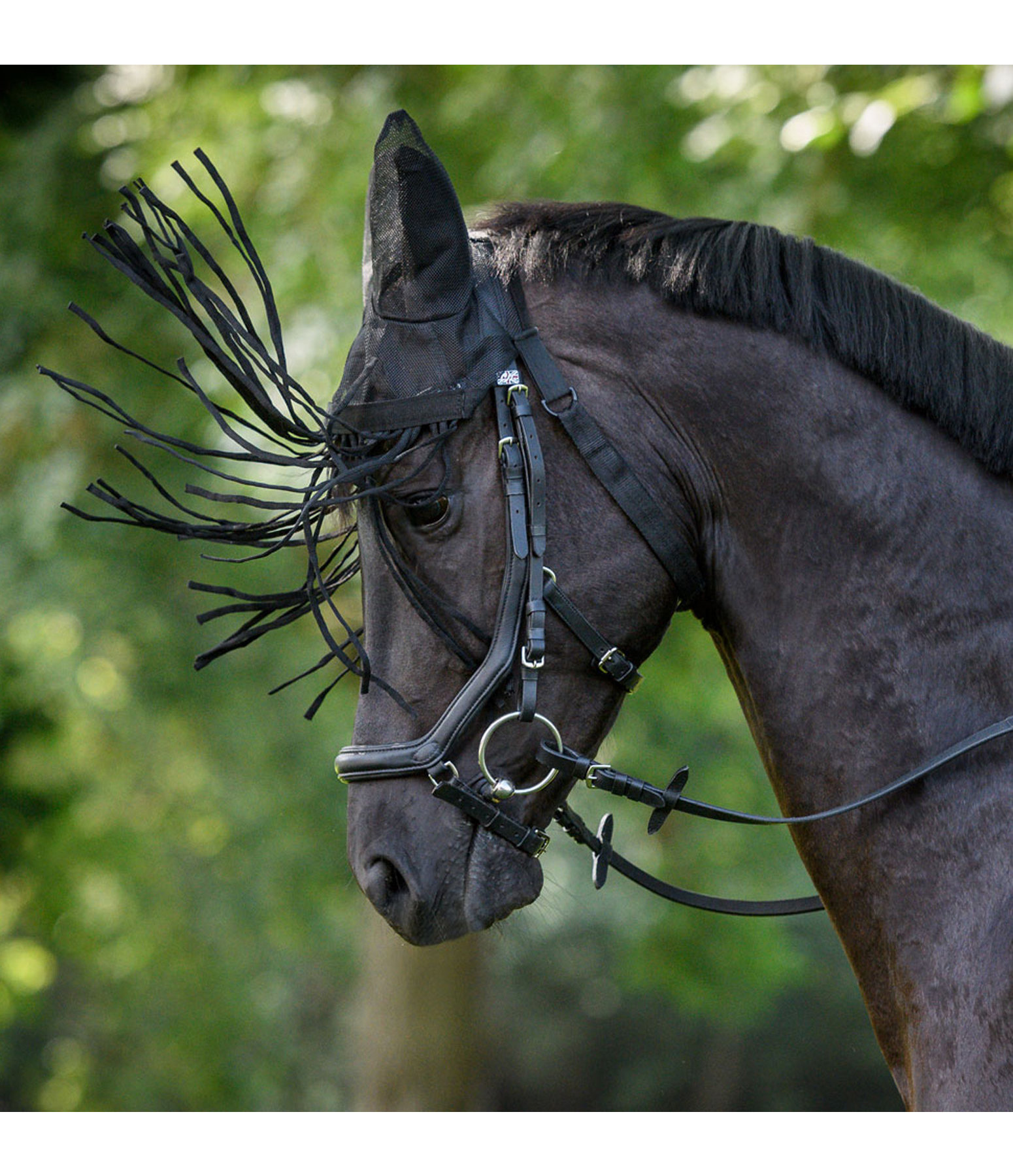 Fly Veil with Fringes