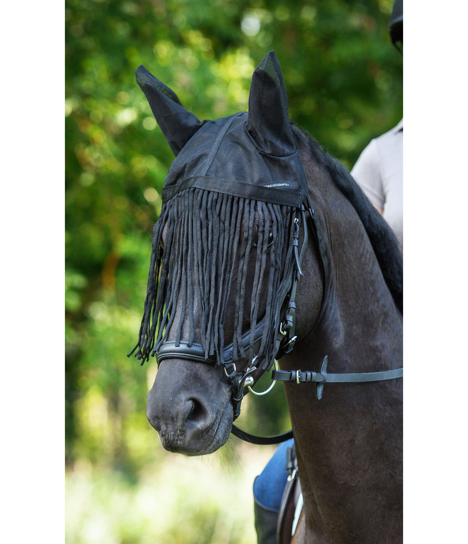 Fly Veil with Fringes