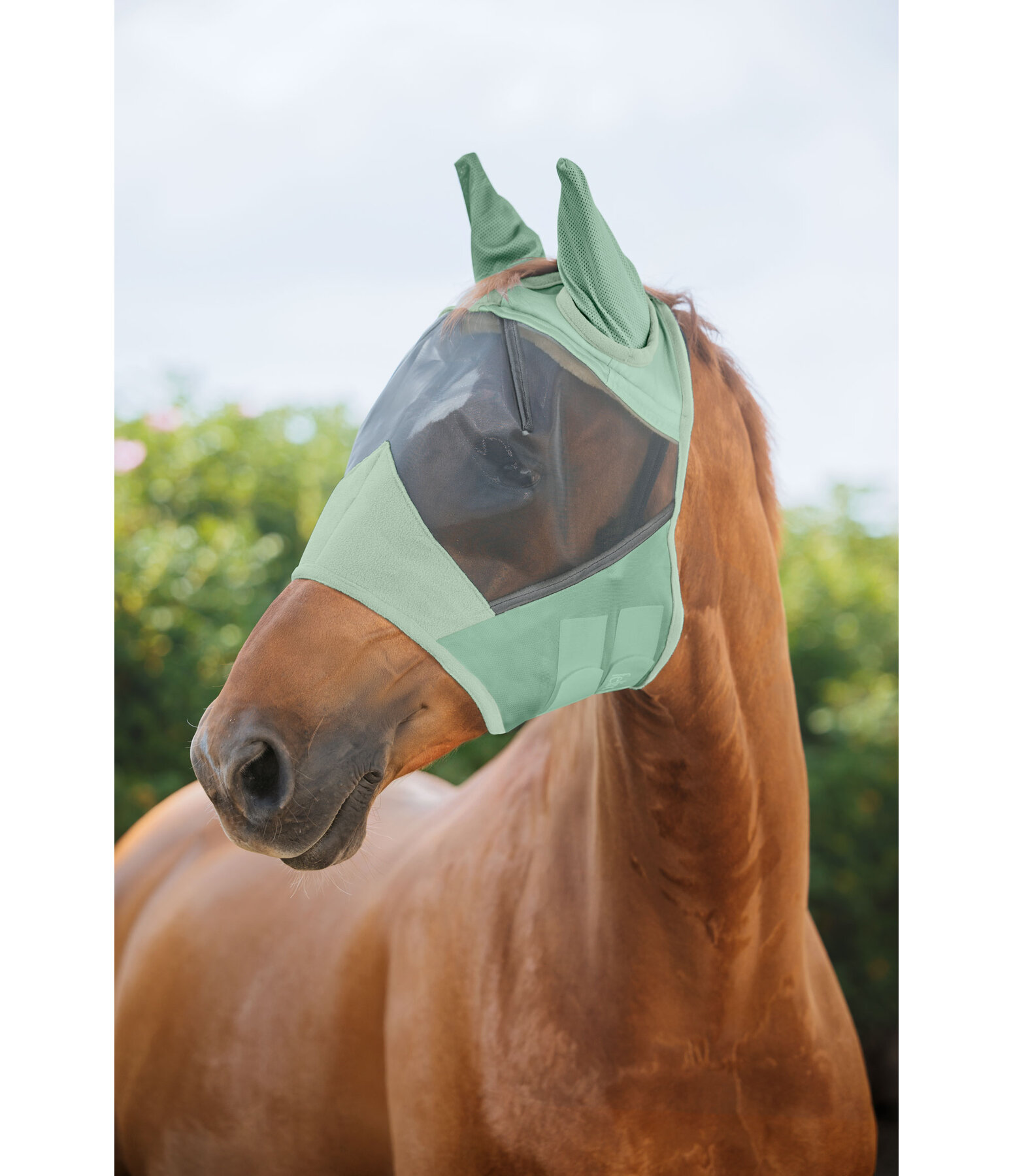 Fly Mask Basic