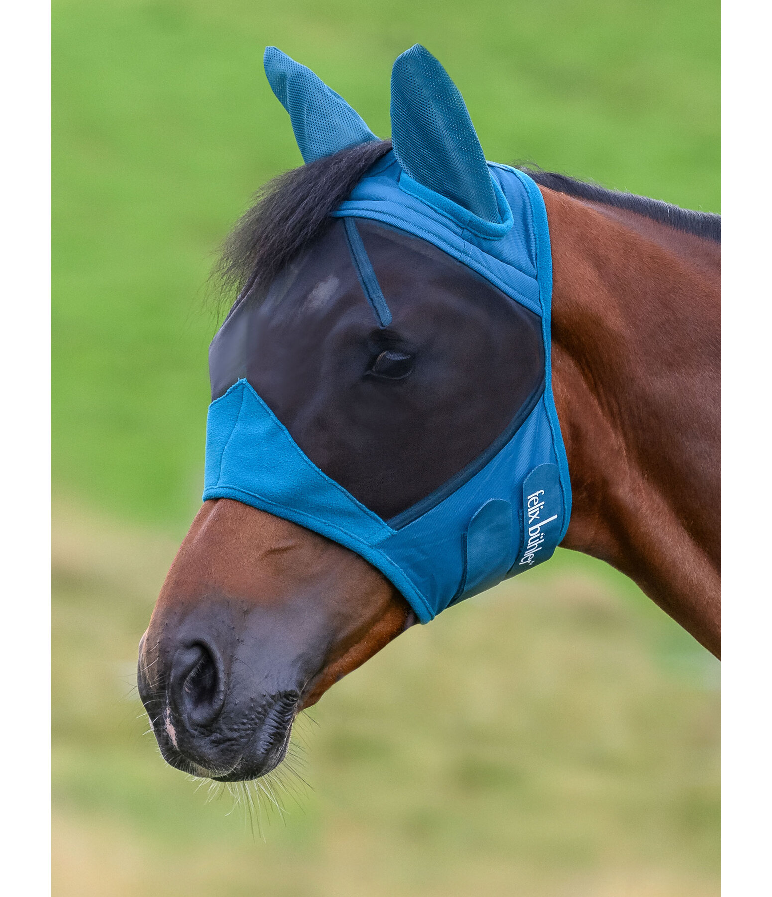 Fly Mask Basic