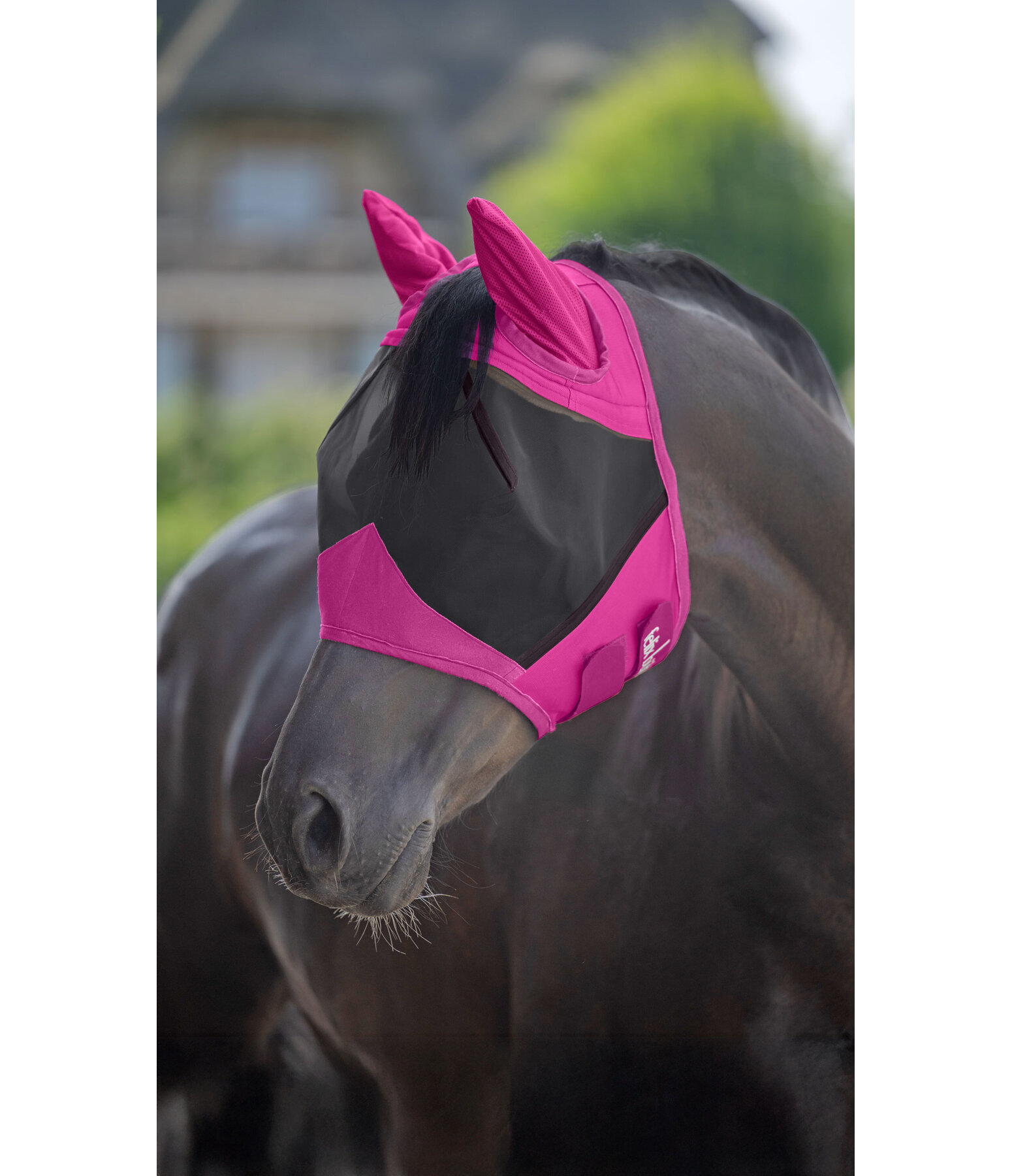 Fly Mask Basic