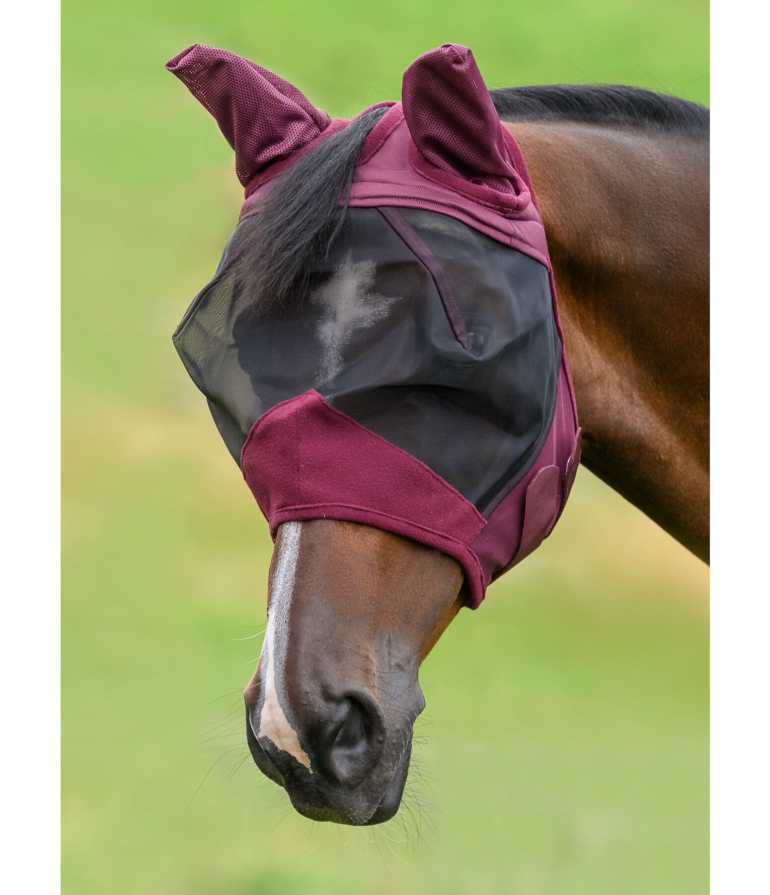 Fly Mask Basic