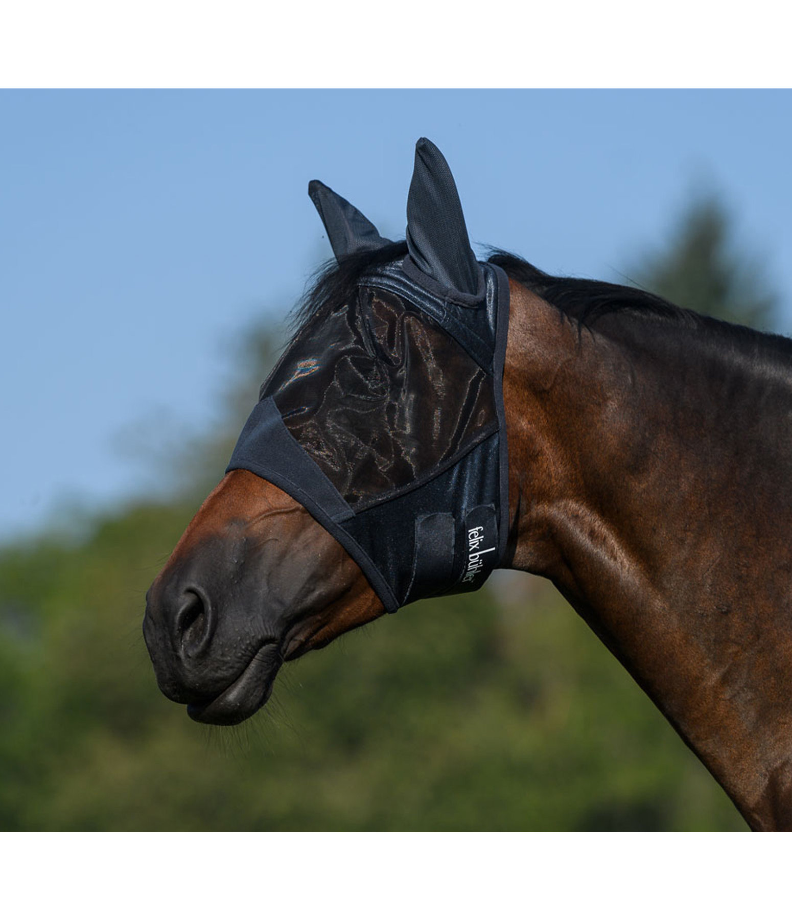 Fly Mask Basic