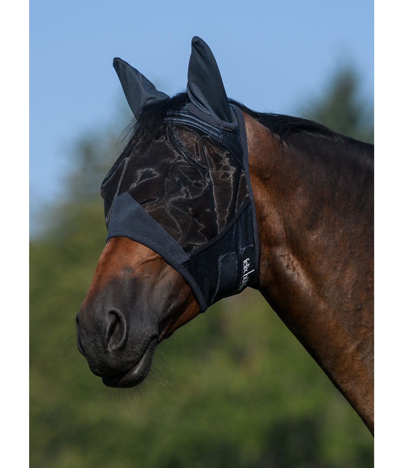 Fly Mask Basic