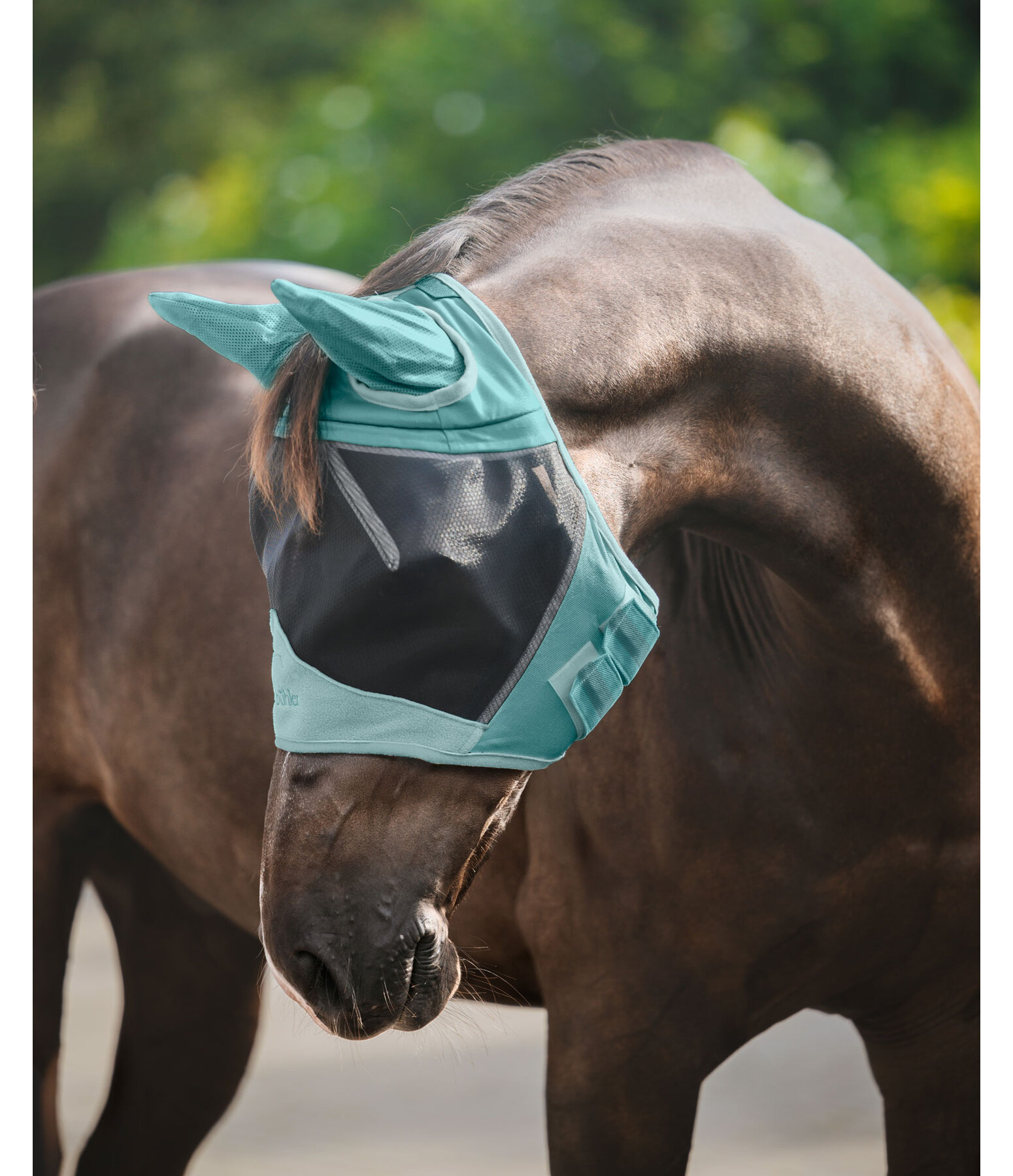 Fly Mask Basic