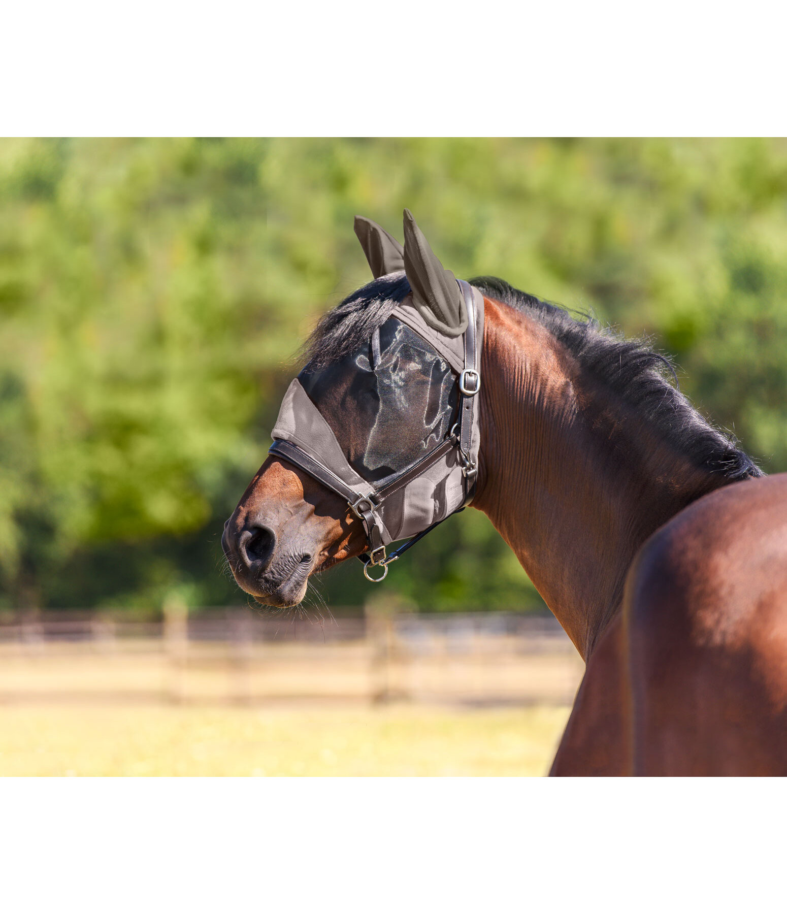 Fly Mask Basic