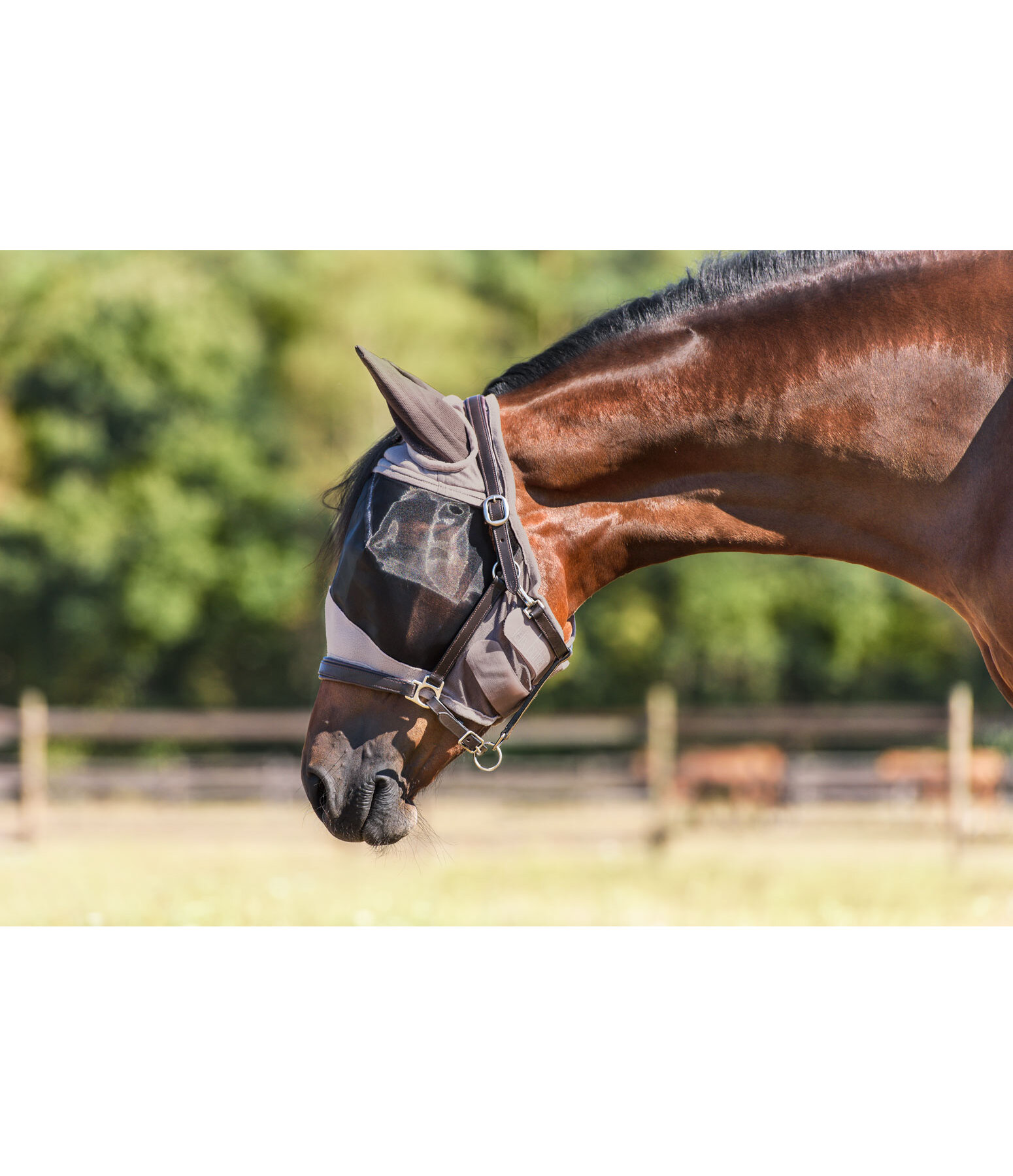 Fly Mask Basic