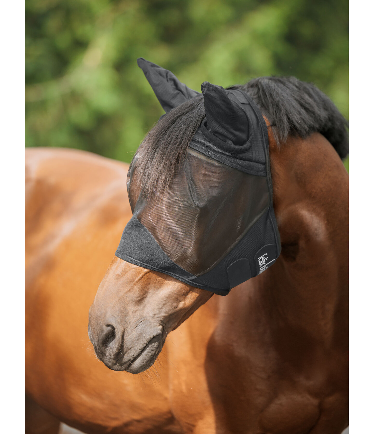 Fly Mask Basic