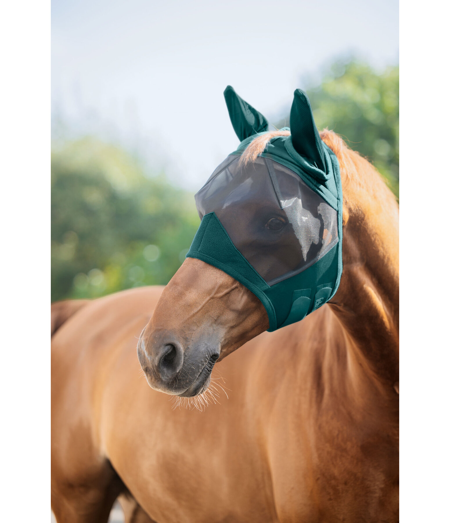 Fly Mask Basic