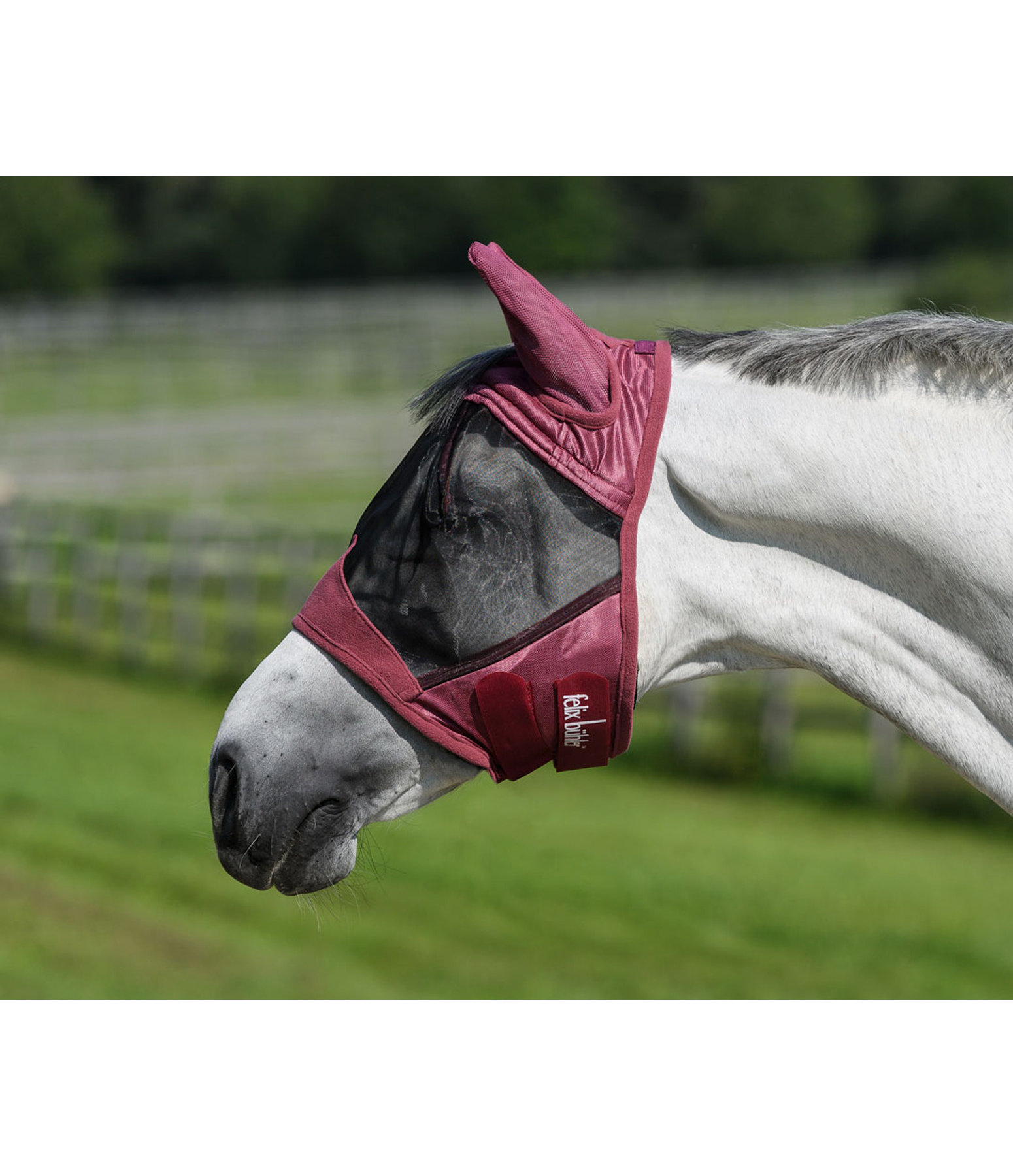 Fly Mask Basic Fly Masks & Fringes Kramer Equestrian