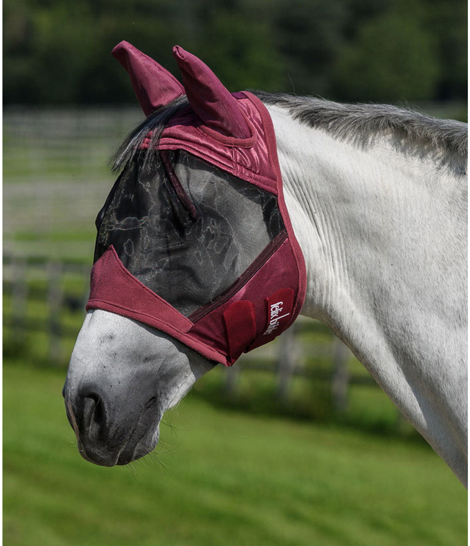 Fly Mask Basic Fly Masks & Fringes Kramer Equestrian