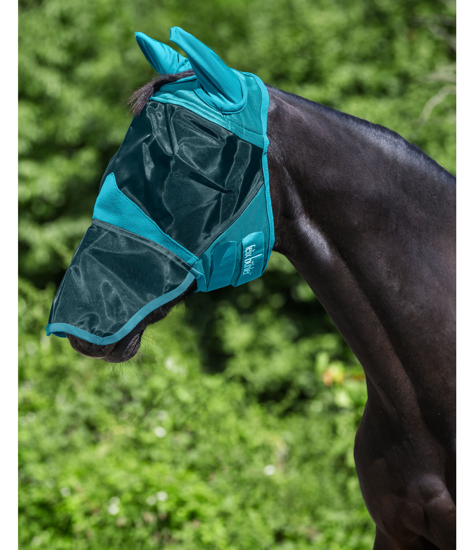 Fly Mask with Nose Extension Fly Masks & Fringes Kramer Equestrian