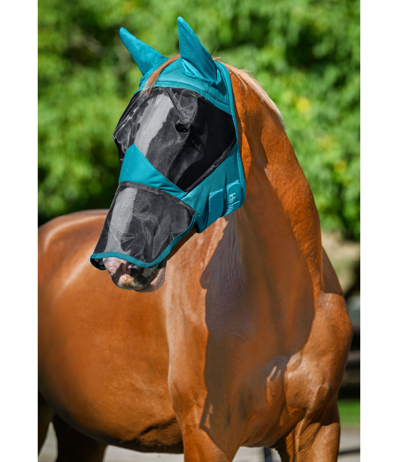 Fly Mask Basic with Nostril Protection