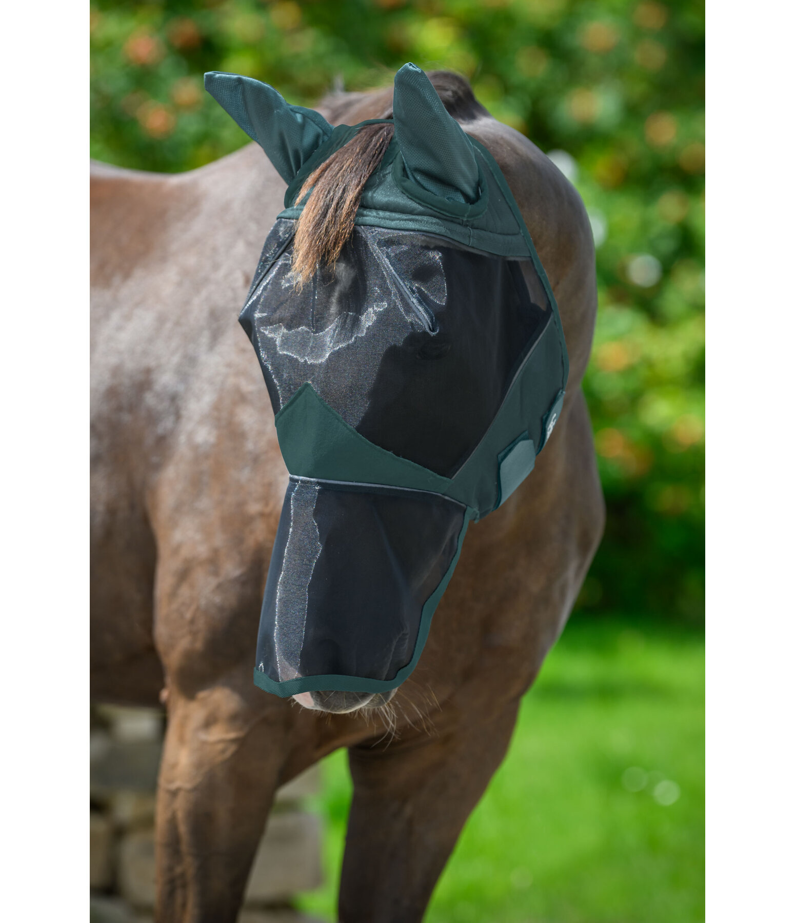 Fly Mask with Nose Extension