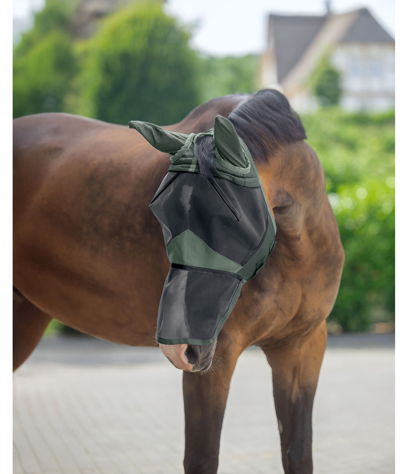 Fly Mask with Nose Extension
